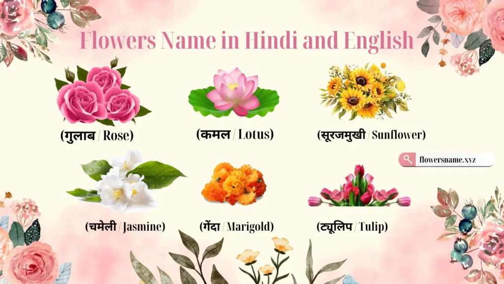 Flowers Name in Hindi and English